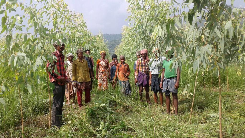 Aids the Farmers Financially